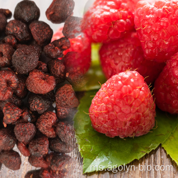Kilang Kilang Makanan Sihat Dry Raspberry